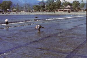 高28回修学旅行2022-9-23-010.jpg