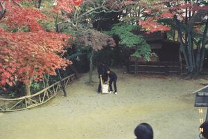 高28回 修学旅行 1112FH000015.jpg