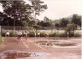 1980年バレー班合宿 男女共炎天下テニスコート.jpg