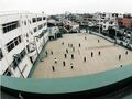 2025年3月29日 (土) 10:10時点における版のサムネイル