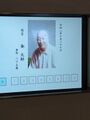 2025年1月26日 (日) 18:24時点における版のサムネイル